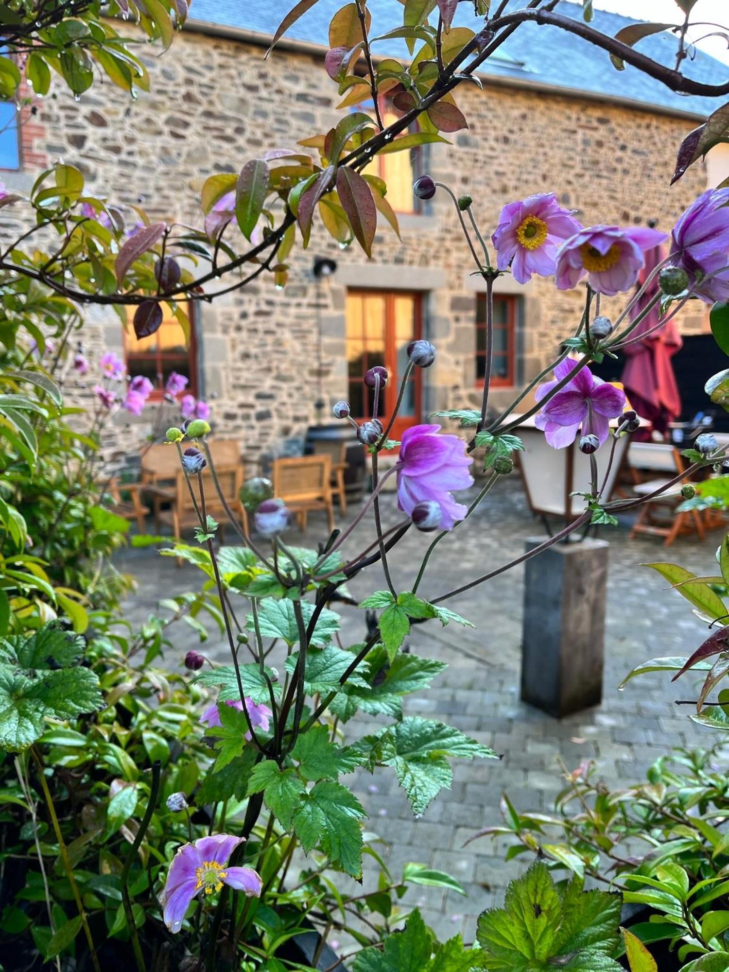 Domaine Du Tertre Ychot Hotel Dol-de-Bretagne Exterior photo
